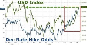 dollar-fed